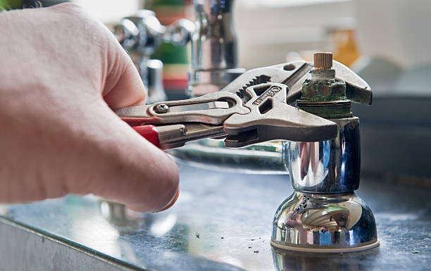 Best Carpet water damage restoration  in Pine Level, AL