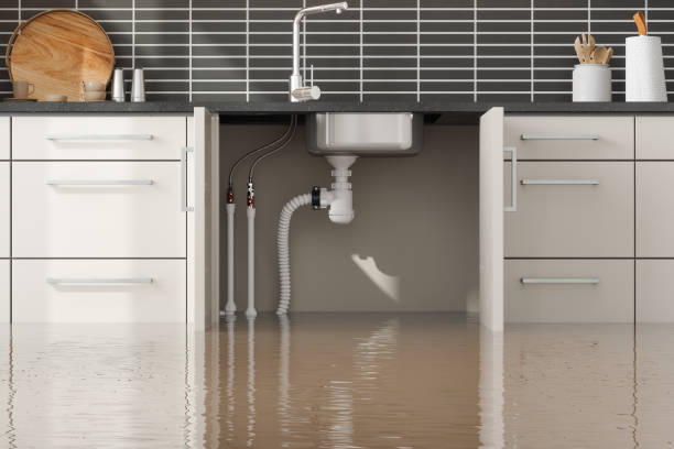 Best Water damage restoration near me  in Pine Level, AL