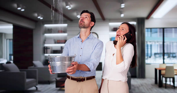 Best Ceiling water damage repair  in Pine Level, AL